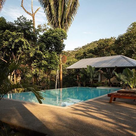 Wild Wasi Lodge - Adventures - Guided Tours Puyo Dış mekan fotoğraf