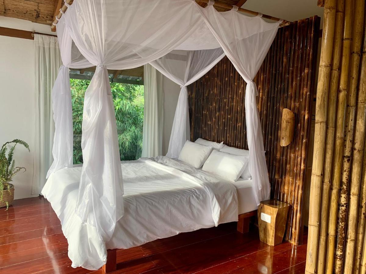 Wild Wasi Lodge - Adventures - Guided Tours Puyo Dış mekan fotoğraf