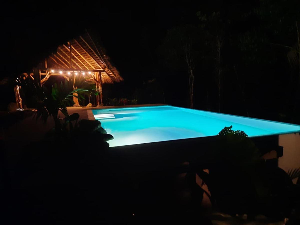 Wild Wasi Lodge - Adventures - Guided Tours Puyo Dış mekan fotoğraf
