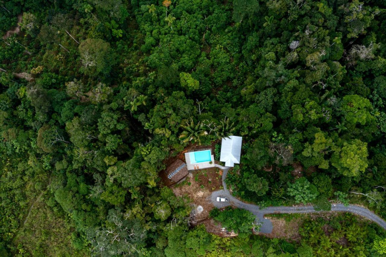Wild Wasi Lodge - Adventures - Guided Tours Puyo Dış mekan fotoğraf