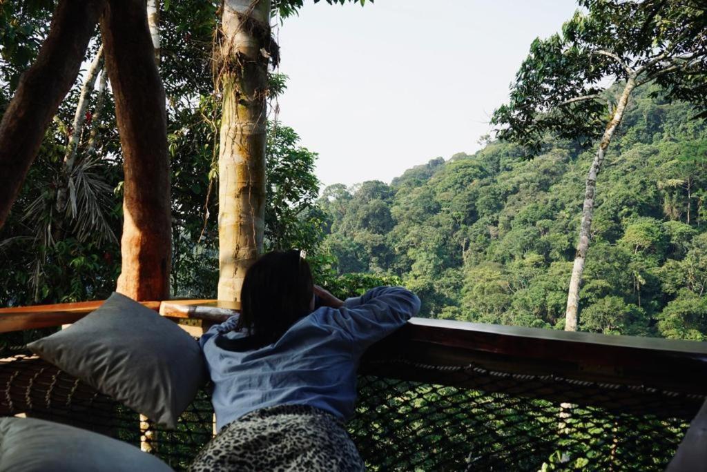 Wild Wasi Lodge - Adventures - Guided Tours Puyo Dış mekan fotoğraf