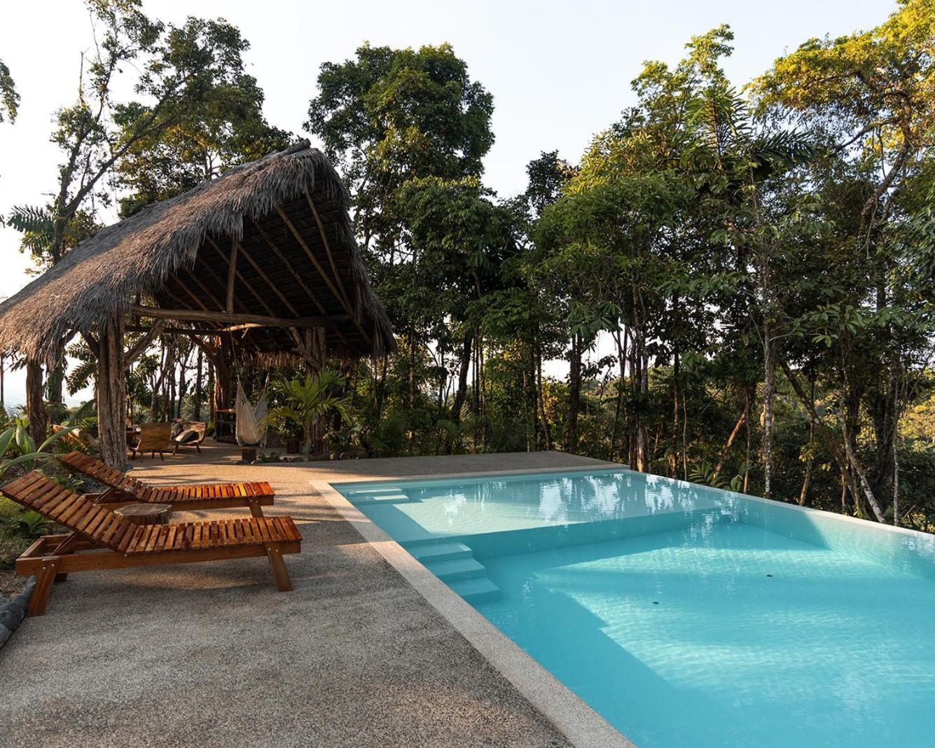 Wild Wasi Lodge - Adventures - Guided Tours Puyo Dış mekan fotoğraf