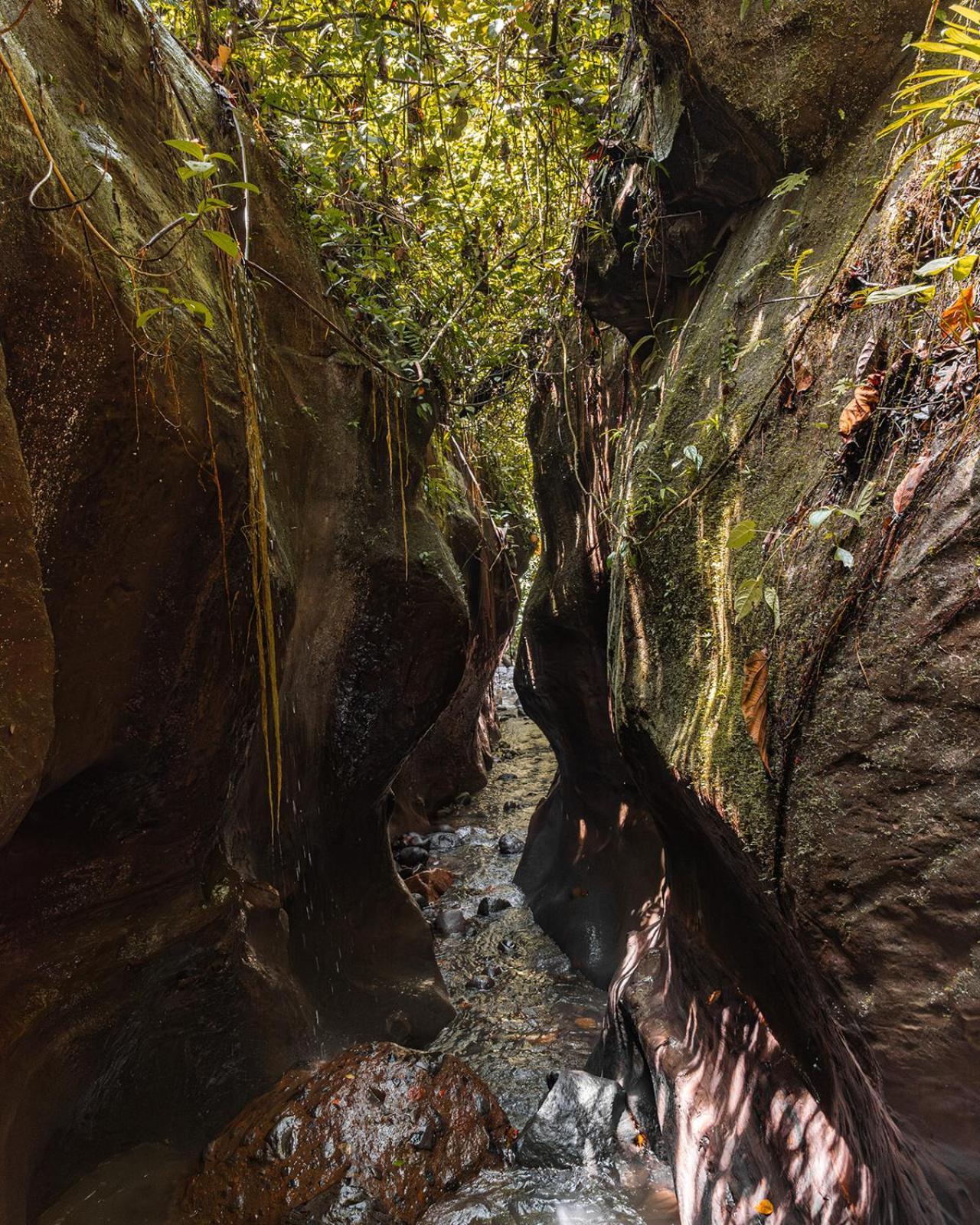 Wild Wasi Lodge - Adventures - Guided Tours Puyo Dış mekan fotoğraf